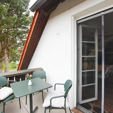 Grüner Meerkater Apartment